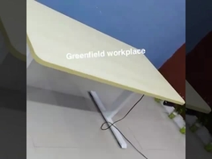 электрический регулируемый стол